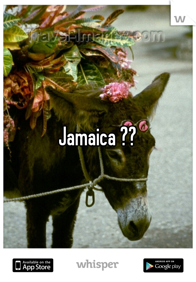 Jamaica ??