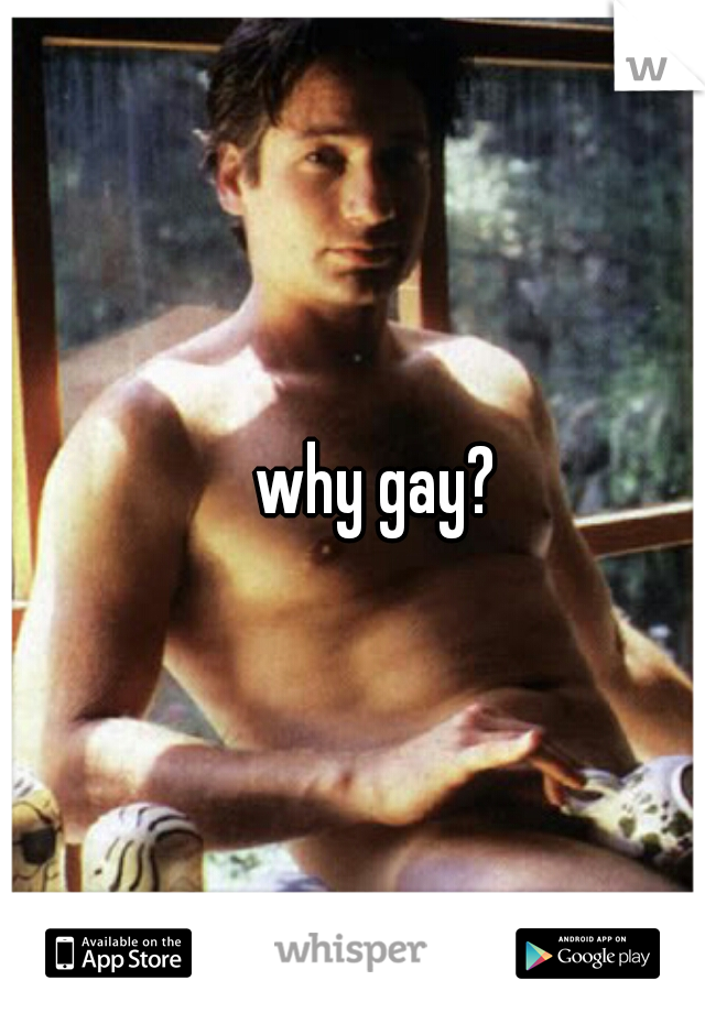 why gay? 
