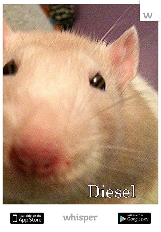 Diesel
