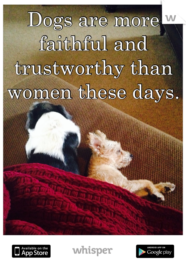 Dogs are more faithful and trustworthy than women these days. 