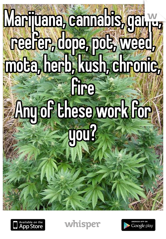 Marijuana, cannabis, ganja, reefer, dope, pot, weed, mota, herb, kush, chronic, fire
Any of these work for you?
