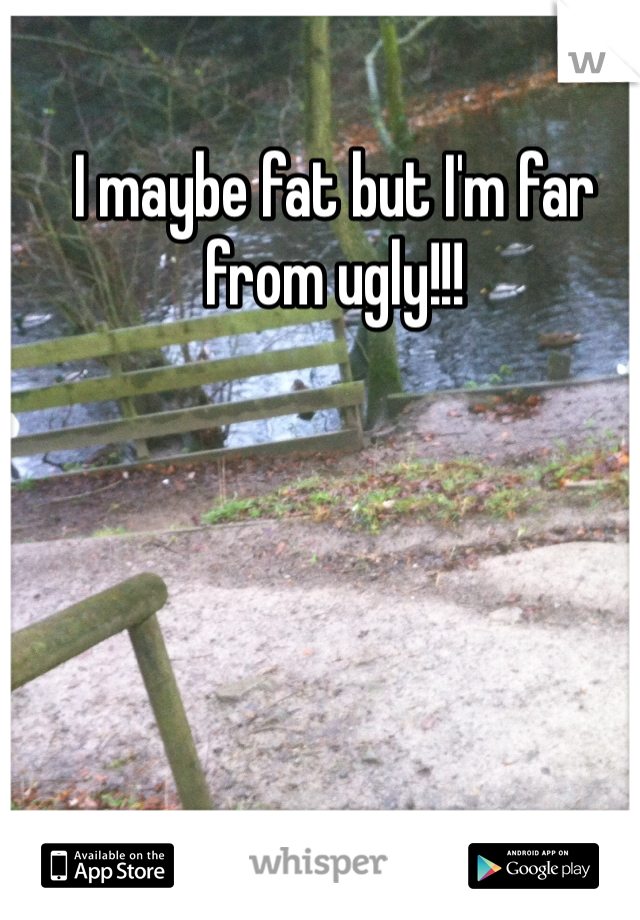 I maybe fat but I'm far from ugly!!! 