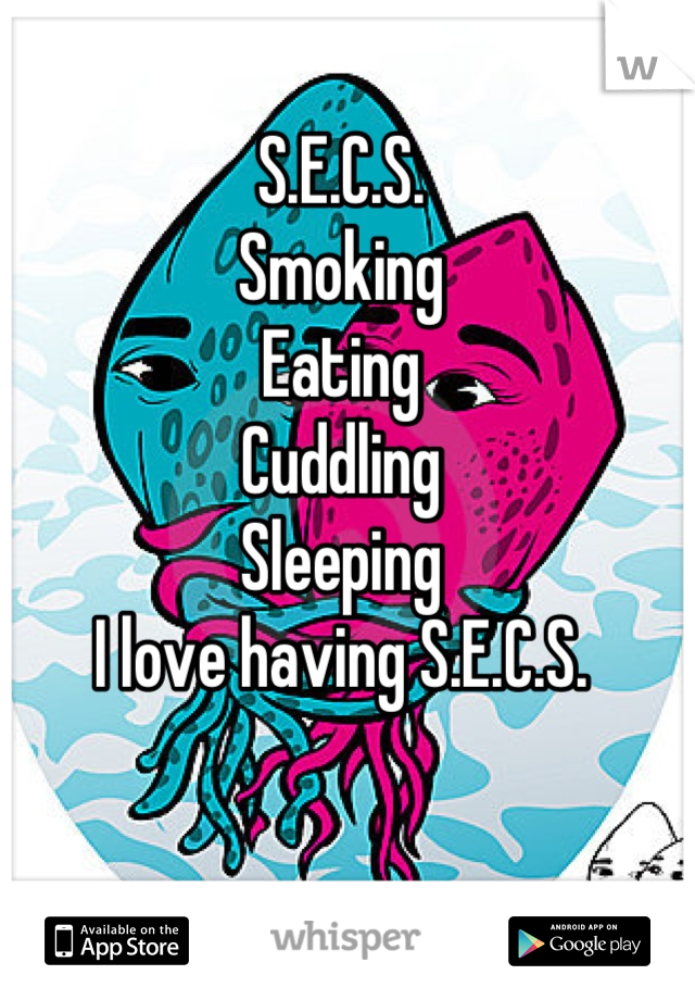 S.E.C.S.
Smoking
Eating
Cuddling
Sleeping
I love having S.E.C.S.