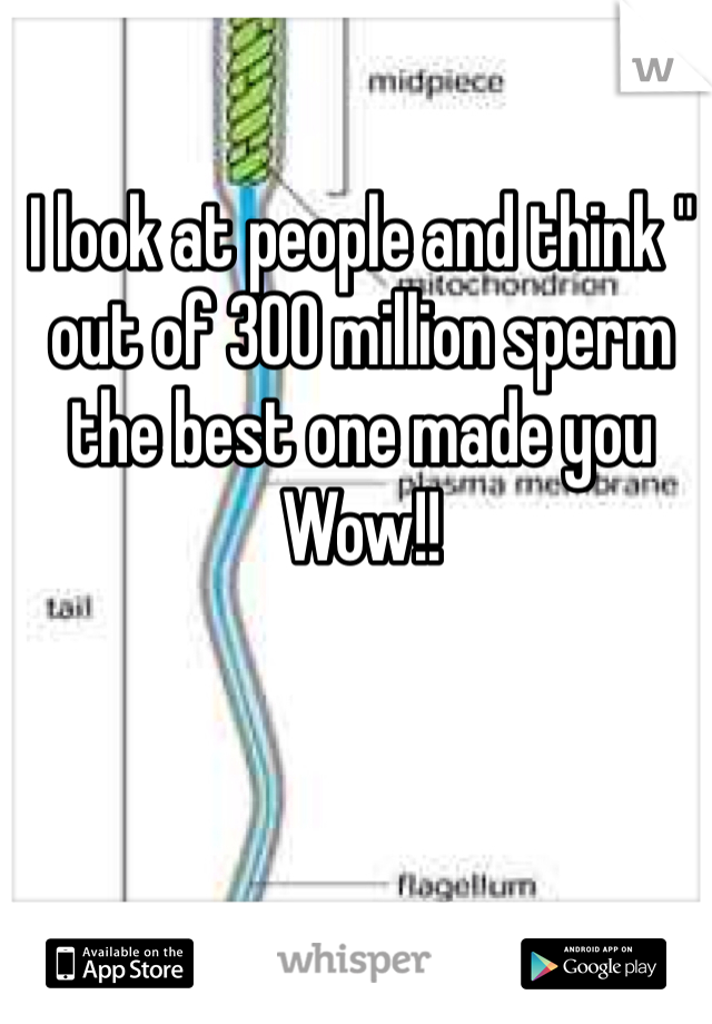 I look at people and think " out of 300 million sperm the best one made you Wow!!  