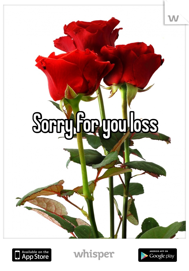 Sorry for you loss 