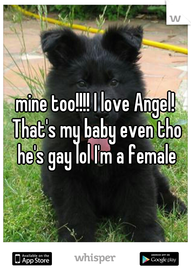 mine too!!!! I love Angel! That's my baby even tho he's gay lol I'm a female