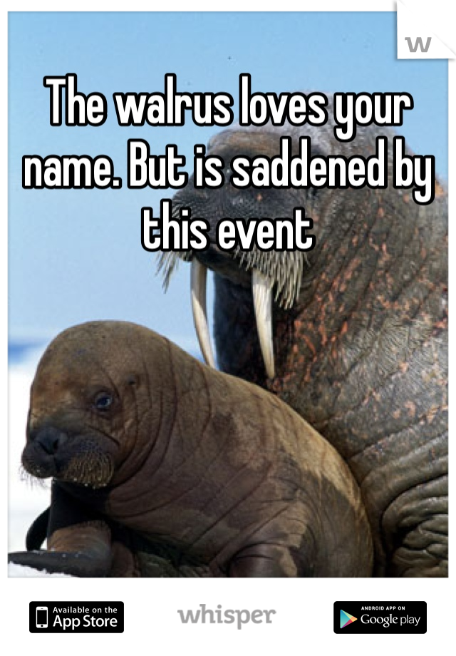 The walrus loves your name. But is saddened by this event