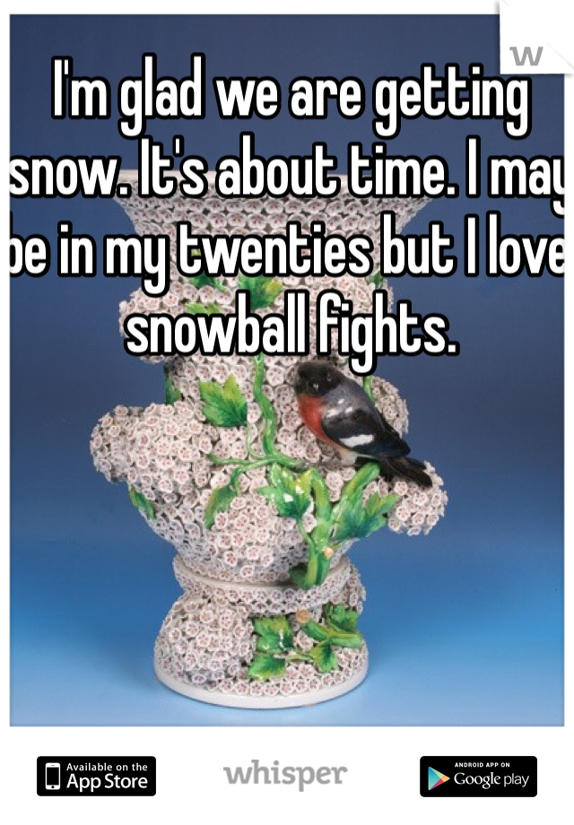 I'm glad we are getting snow. It's about time. I may be in my twenties but I love snowball fights. 