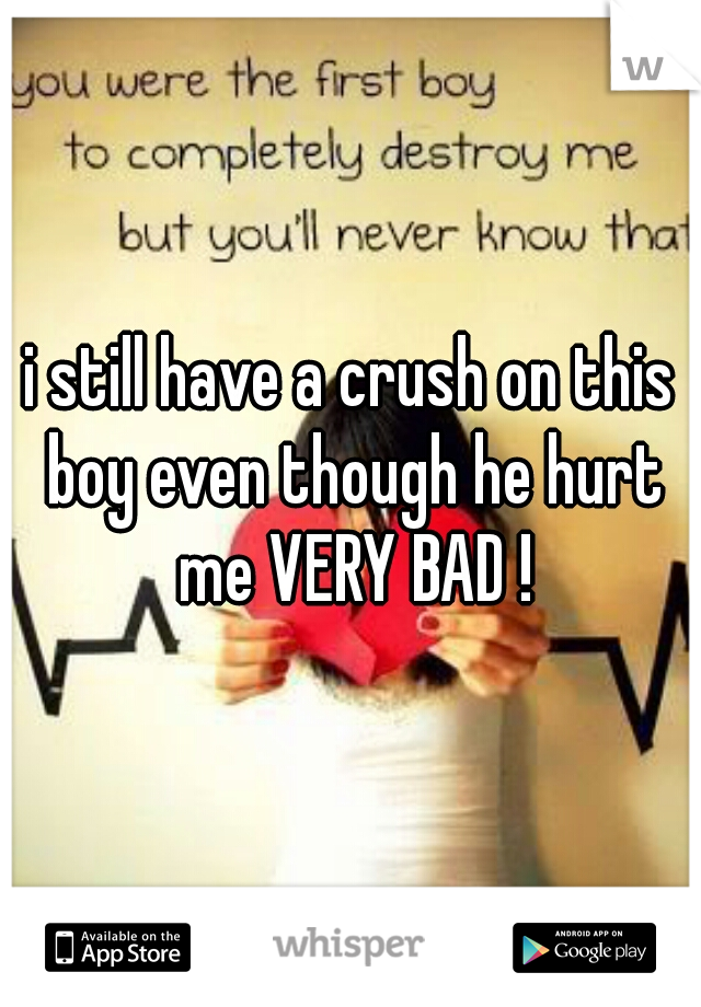 i still have a crush on this boy even though he hurt me VERY BAD !