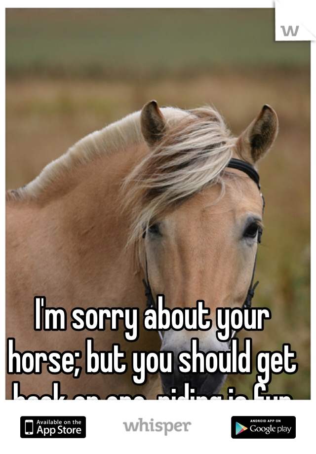 I'm sorry about your horse; but you should get back on one, riding is fun 