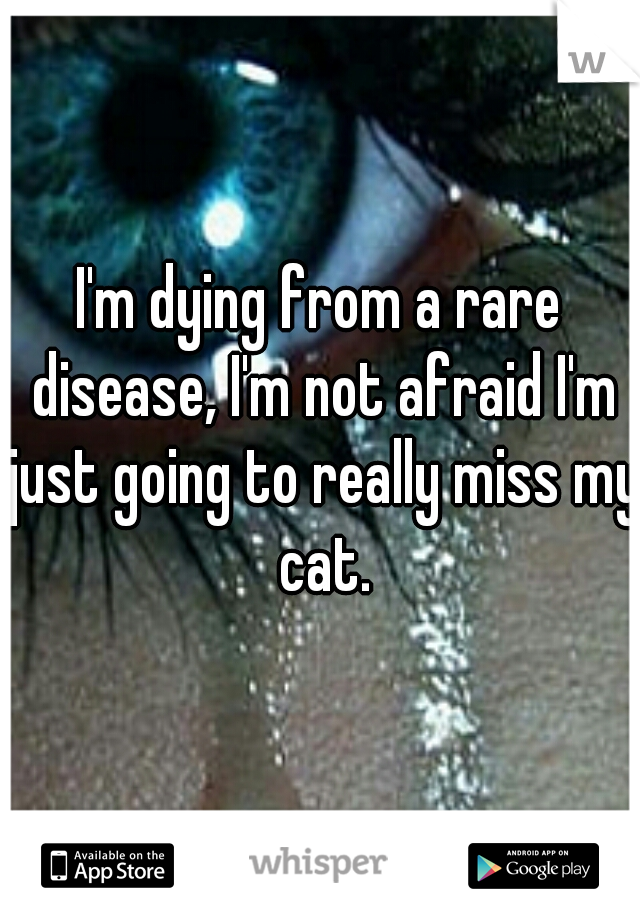 I'm dying from a rare disease, I'm not afraid I'm just going to really miss my cat.