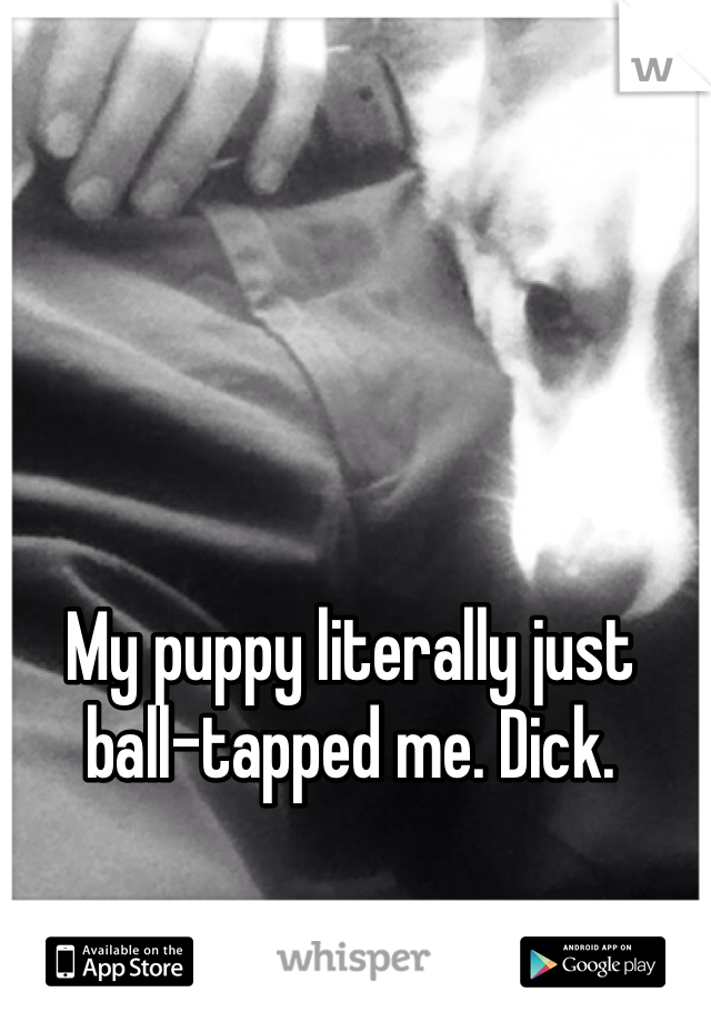 My puppy literally just ball-tapped me. Dick.