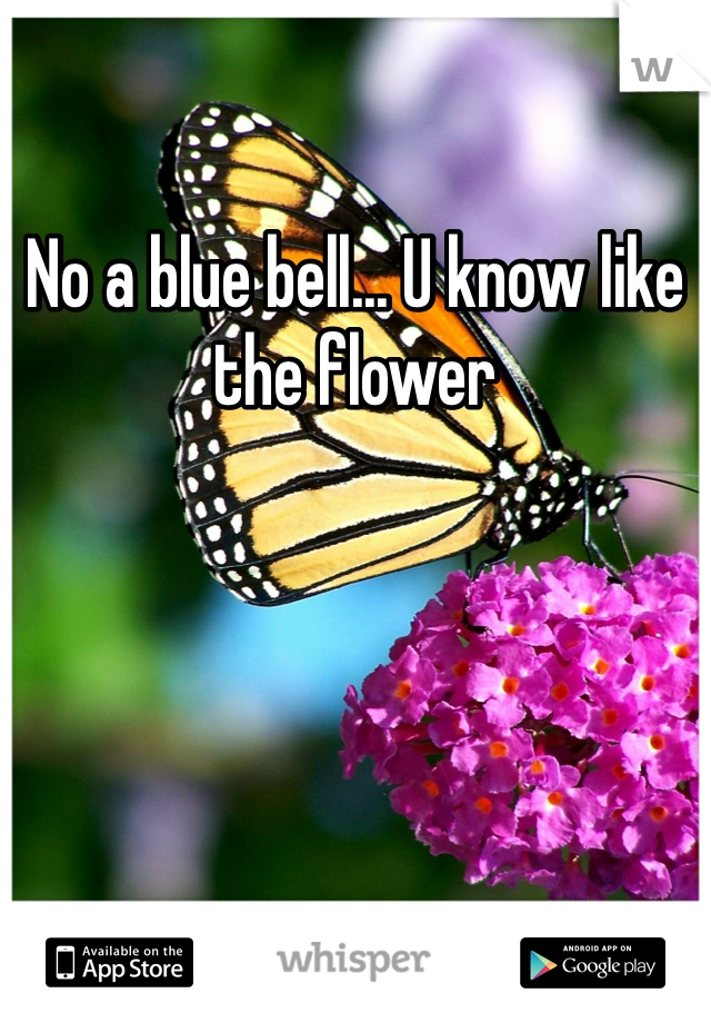 No a blue bell... U know like the flower