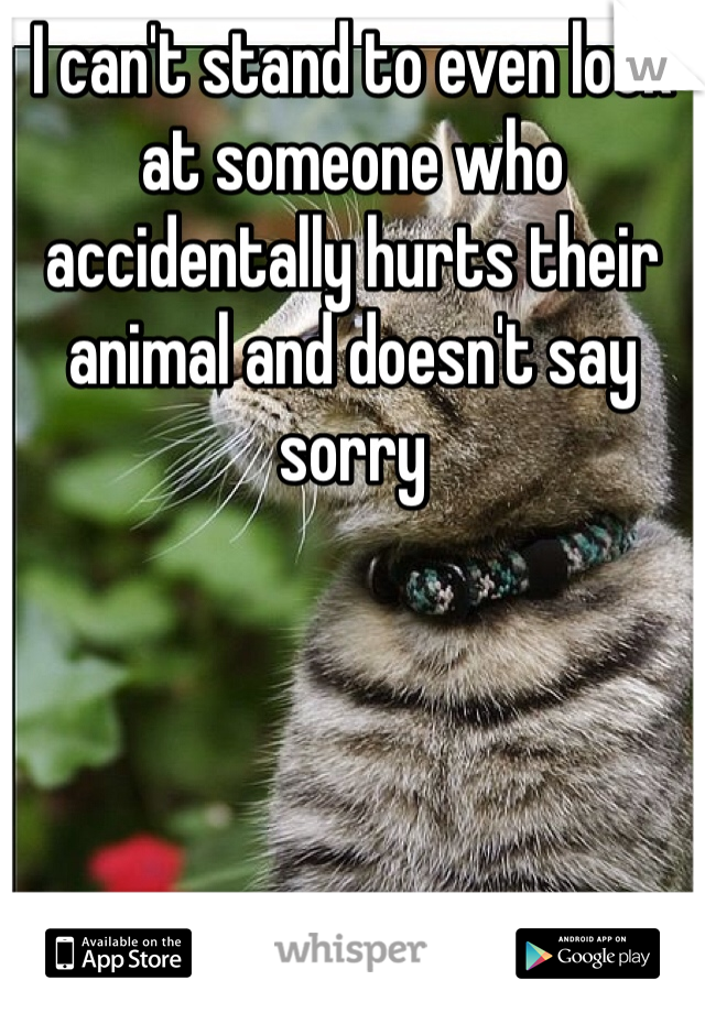 I can't stand to even look at someone who accidentally hurts their animal and doesn't say sorry 