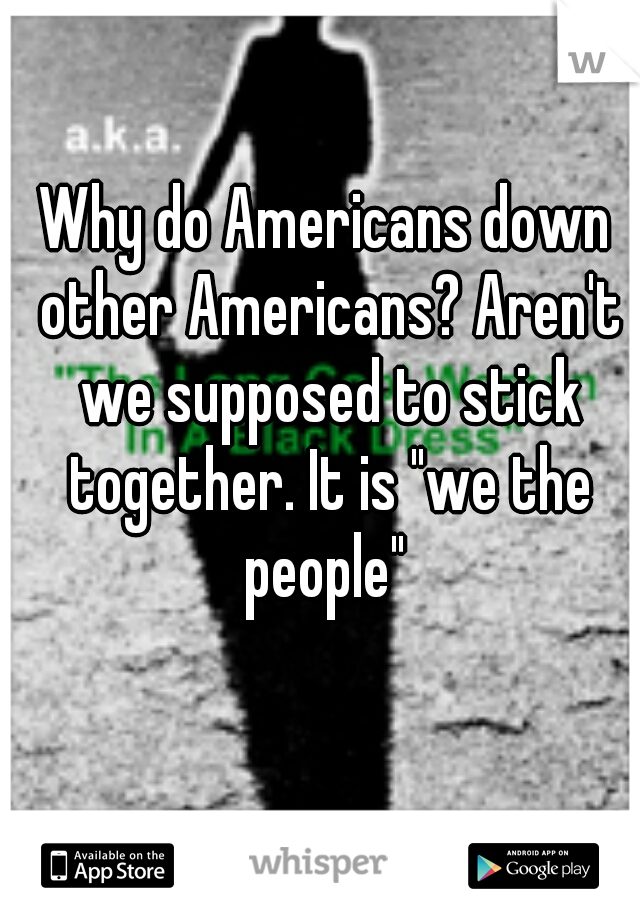 Why do Americans down other Americans? Aren't we supposed to stick together. It is "we the people" 