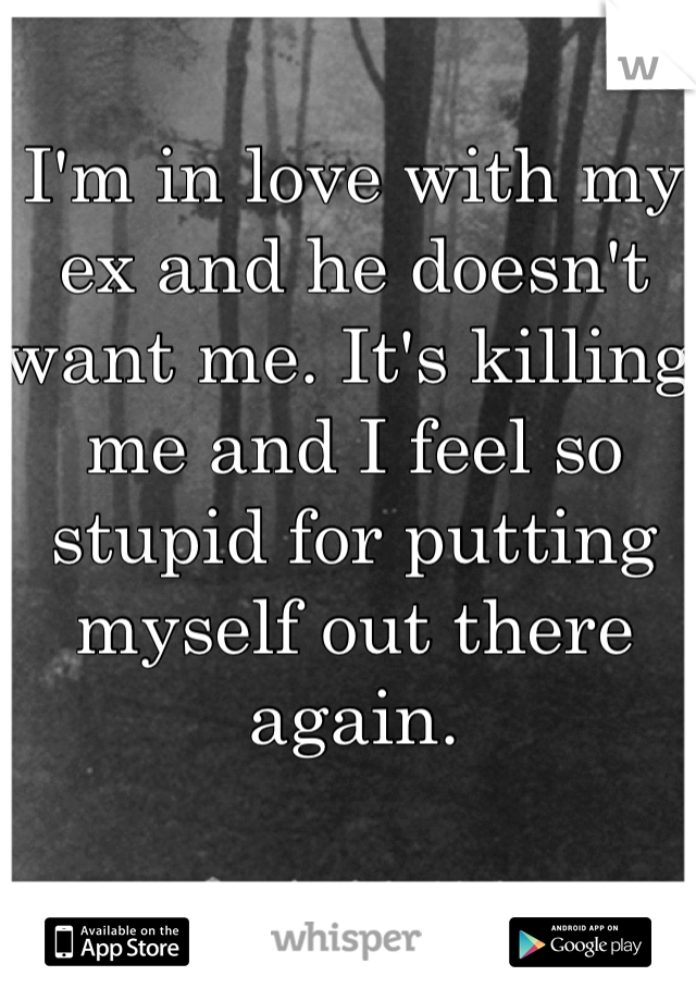 I'm in love with my ex and he doesn't want me. It's killing me and I feel so stupid for putting myself out there again. 