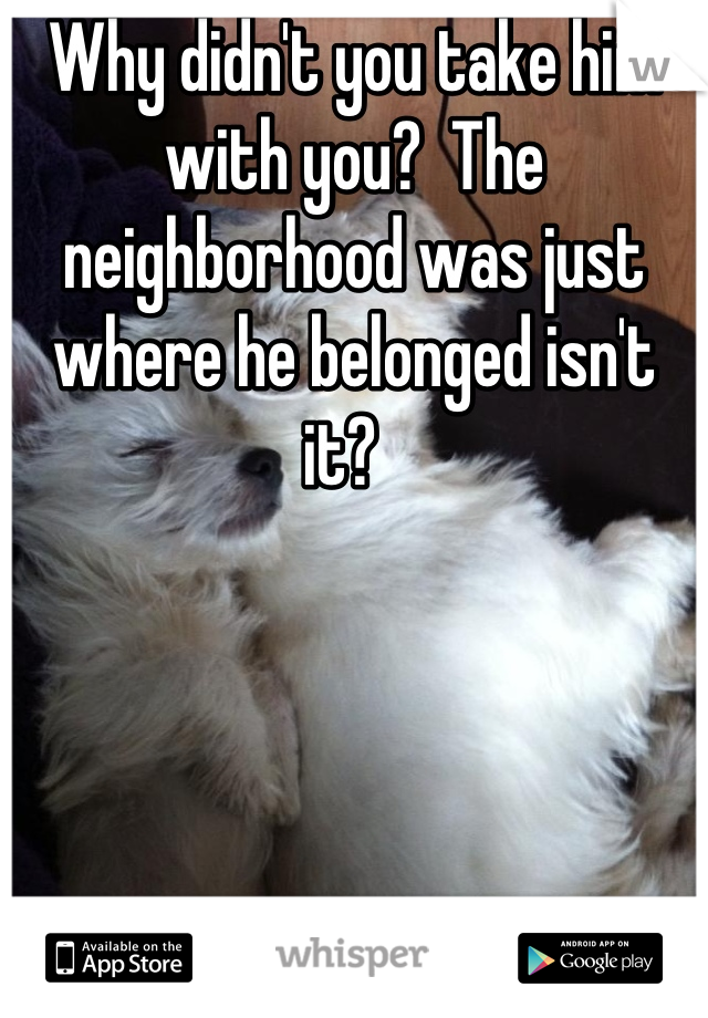 Why didn't you take him with you?  The neighborhood was just where he belonged isn't it?  