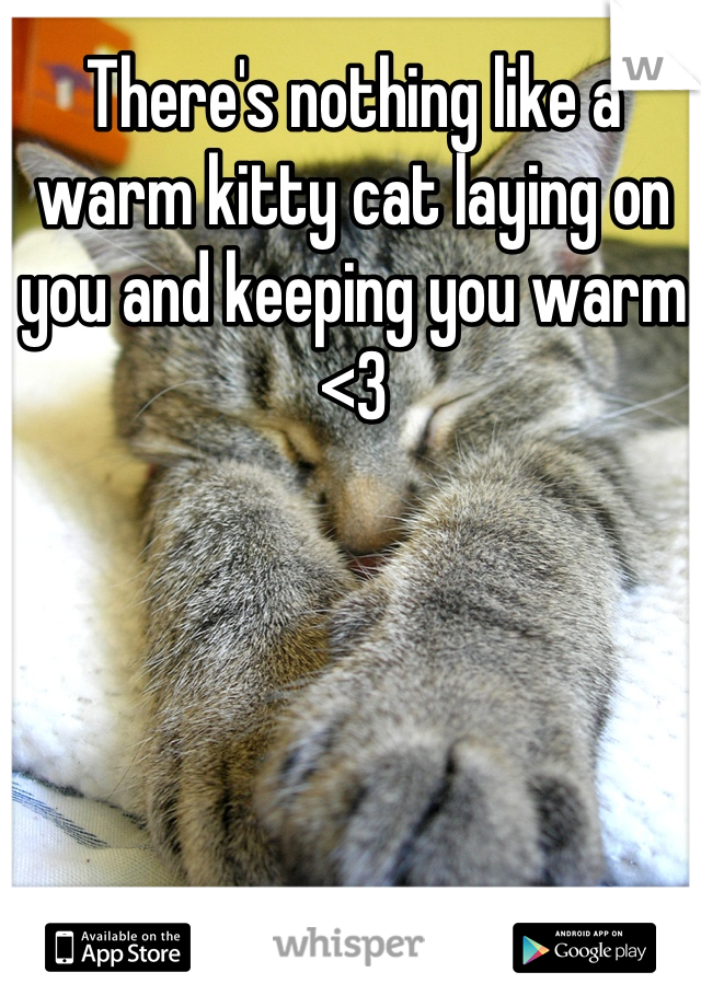 There's nothing like a warm kitty cat laying on you and keeping you warm <3