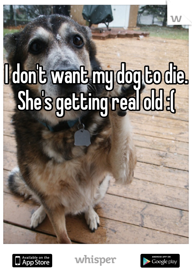 I don't want my dog to die. She's getting real old :(