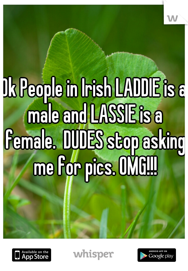 Ok People in Irish LADDIE is a male and LASSIE is a female.  DUDES stop asking me for pics. OMG!!!