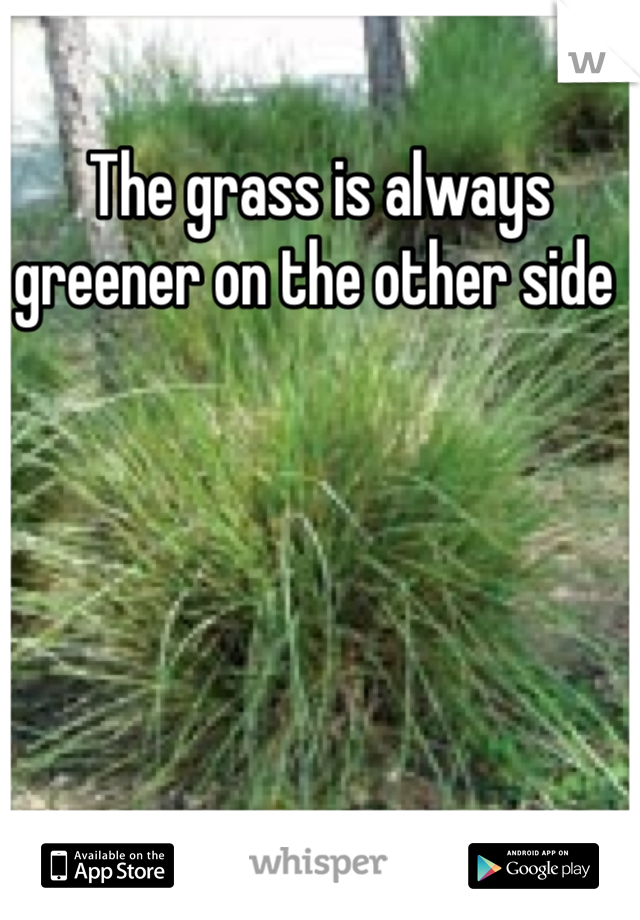 The grass is always greener on the other side 