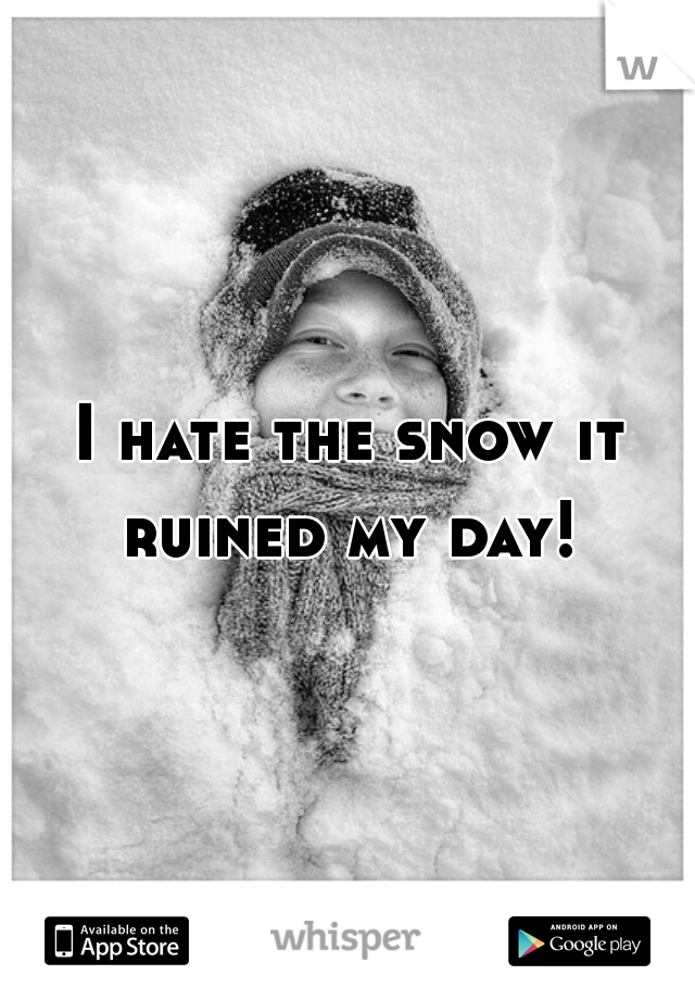 I hate the snow it ruined my day! 