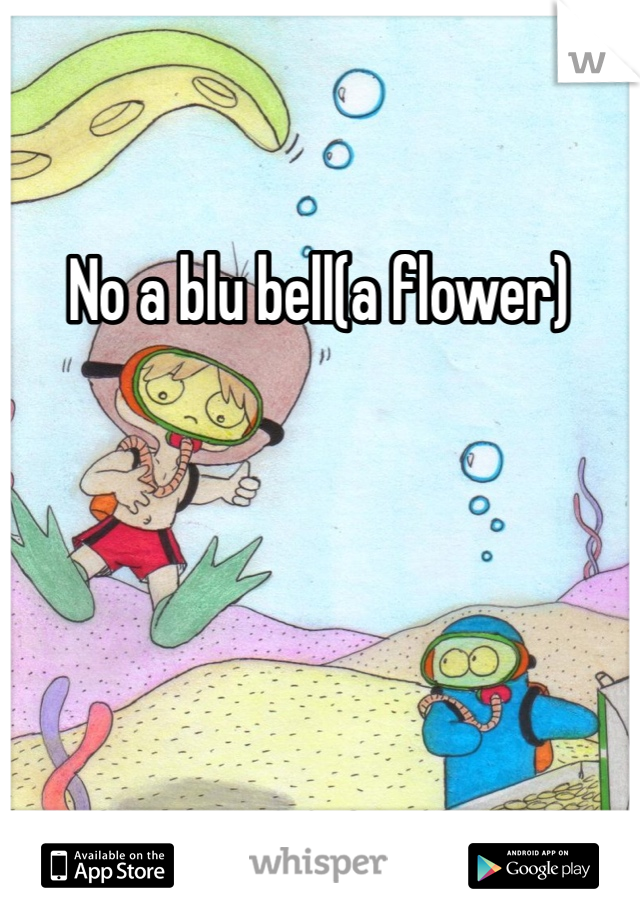 No a blu bell(a flower)
