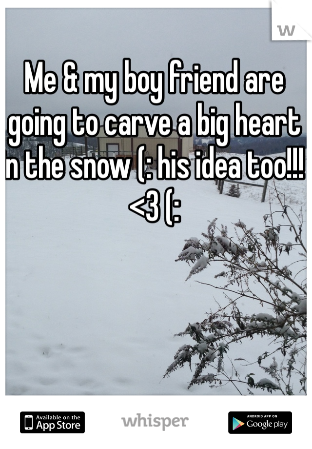 Me & my boy friend are going to carve a big heart in the snow (: his idea too!!! <3 (:
