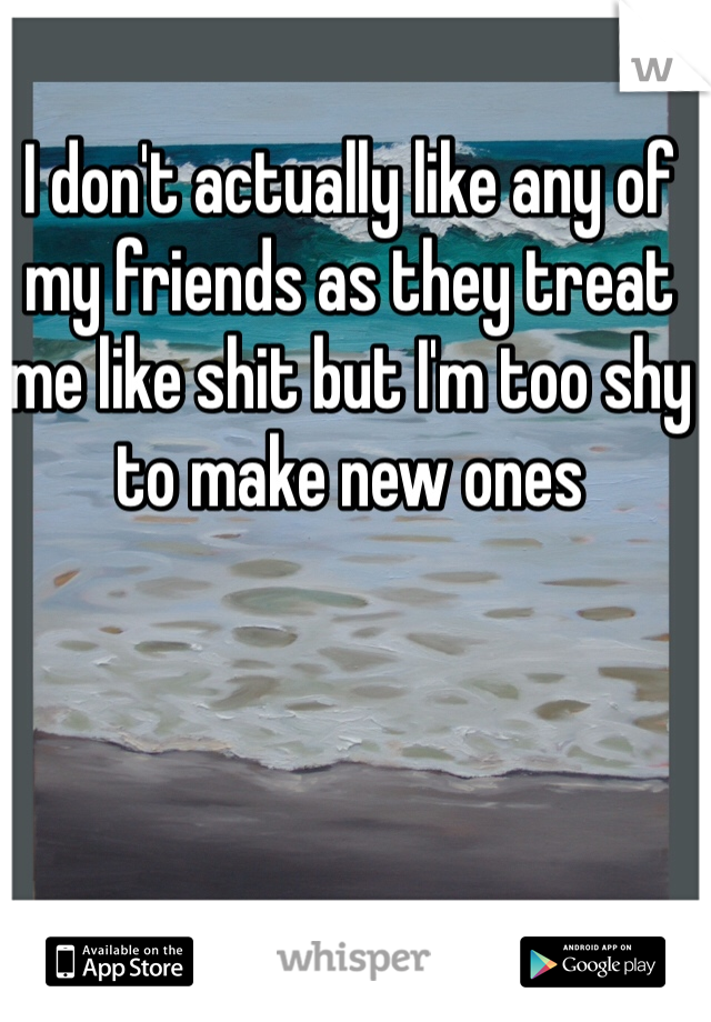 I don't actually like any of my friends as they treat me like shit but I'm too shy to make new ones 
