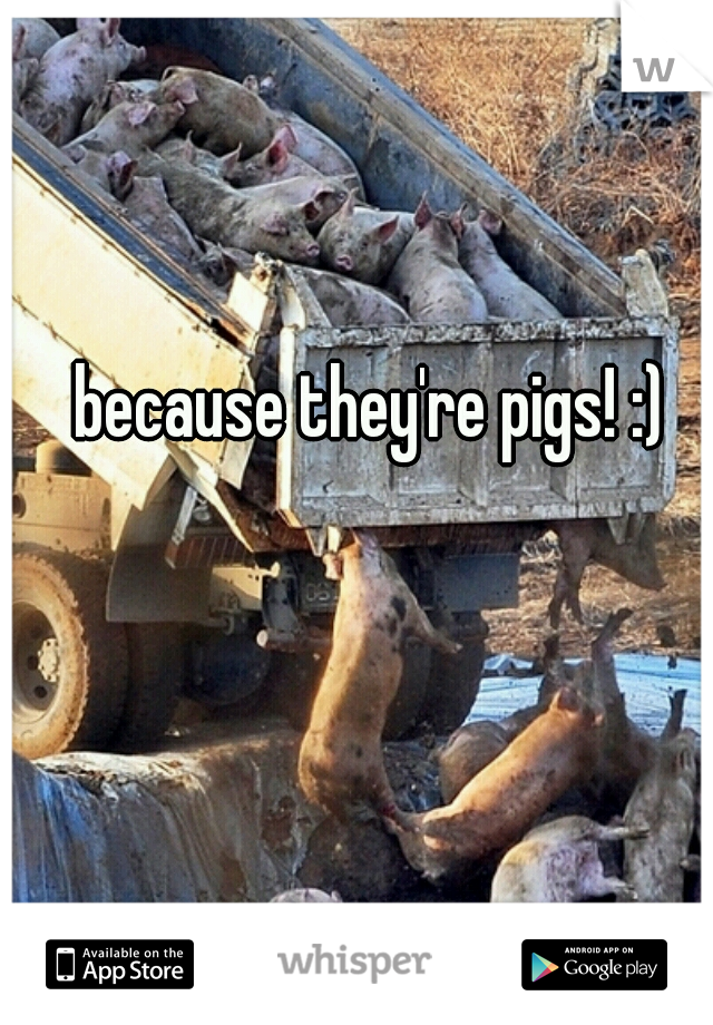 because they're pigs! :)