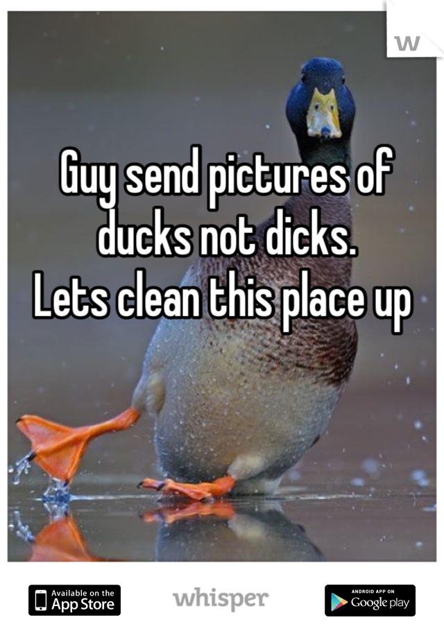 Guy send pictures of ducks not dicks.
Lets clean this place up 