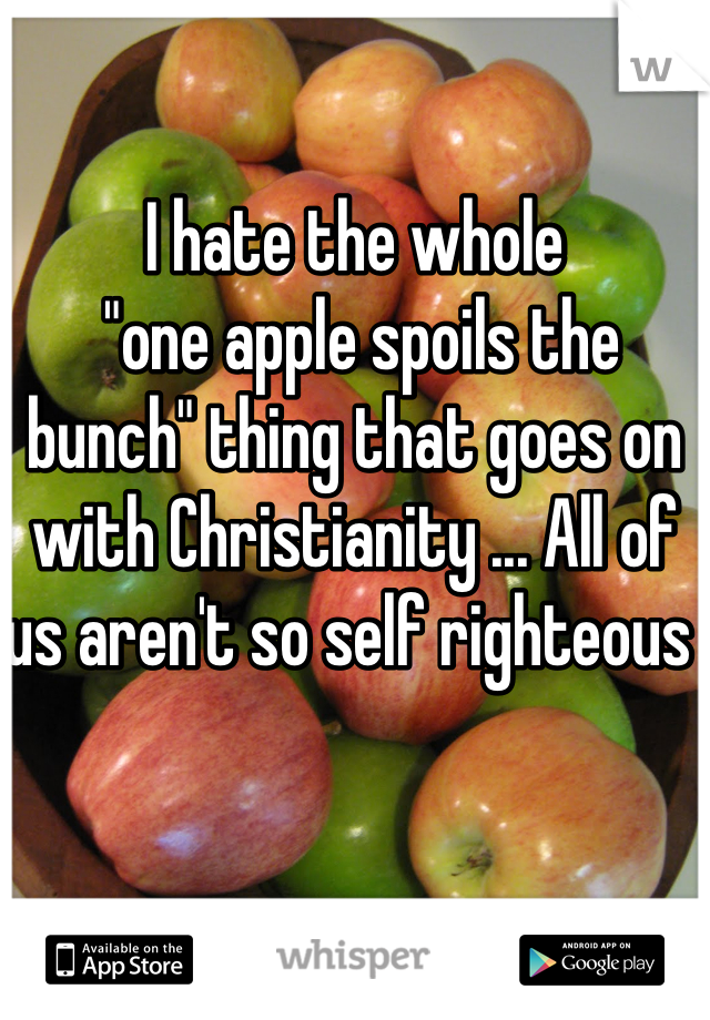 I hate the whole
 "one apple spoils the bunch" thing that goes on with Christianity ... All of us aren't so self righteous 