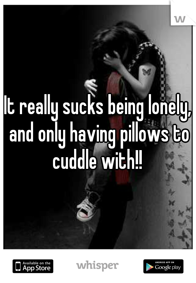 It really sucks being lonely, and only having pillows to cuddle with!! 
