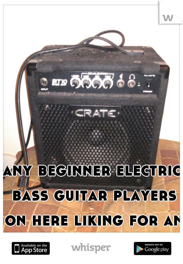 any beginner electric bass guitar players on here liking for an amp? let me know!
