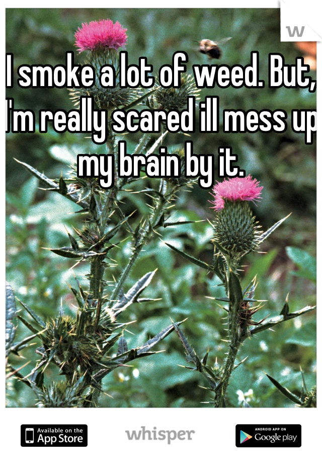 I smoke a lot of weed. But, I'm really scared ill mess up my brain by it.