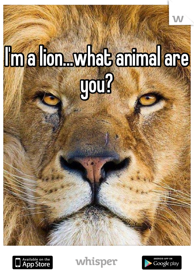 I'm a lion...what animal are you?