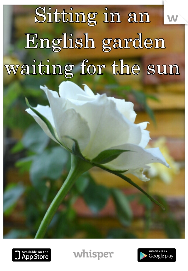 Sitting in an English garden waiting for the sun  