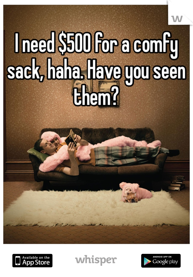 I need $500 for a comfy sack, haha. Have you seen them? 