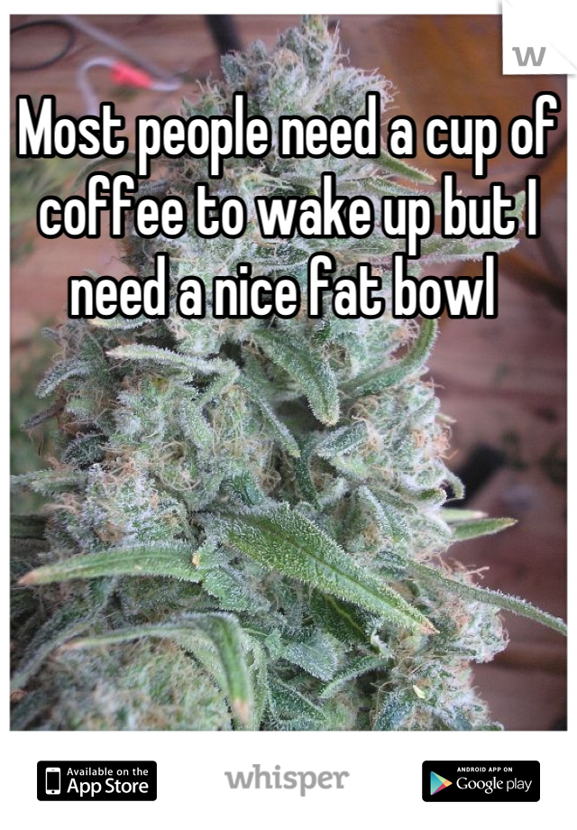 Most people need a cup of coffee to wake up but I need a nice fat bowl 