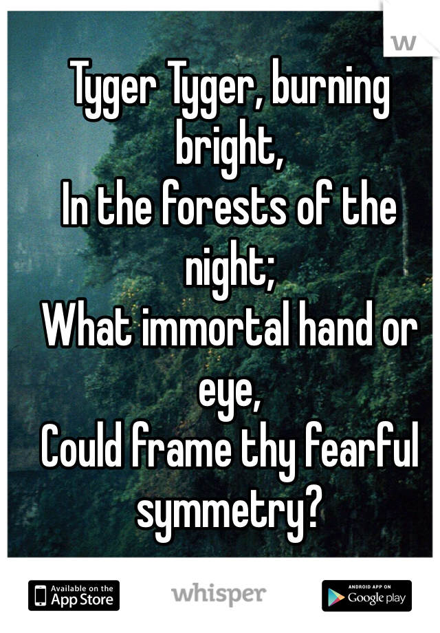 Tyger Tyger, burning bright, 
In the forests of the night; 
What immortal hand or eye, 
Could frame thy fearful symmetry?
