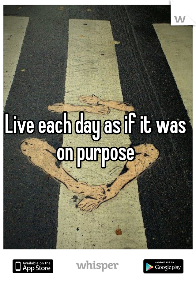 Live each day as if it was on purpose