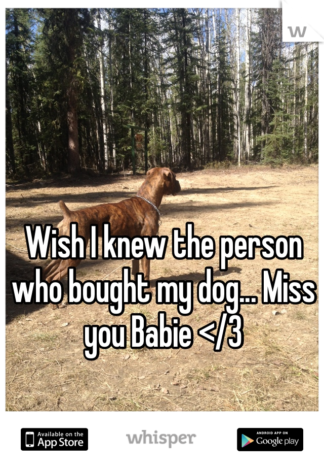 Wish I knew the person who bought my dog... Miss you Babie </3