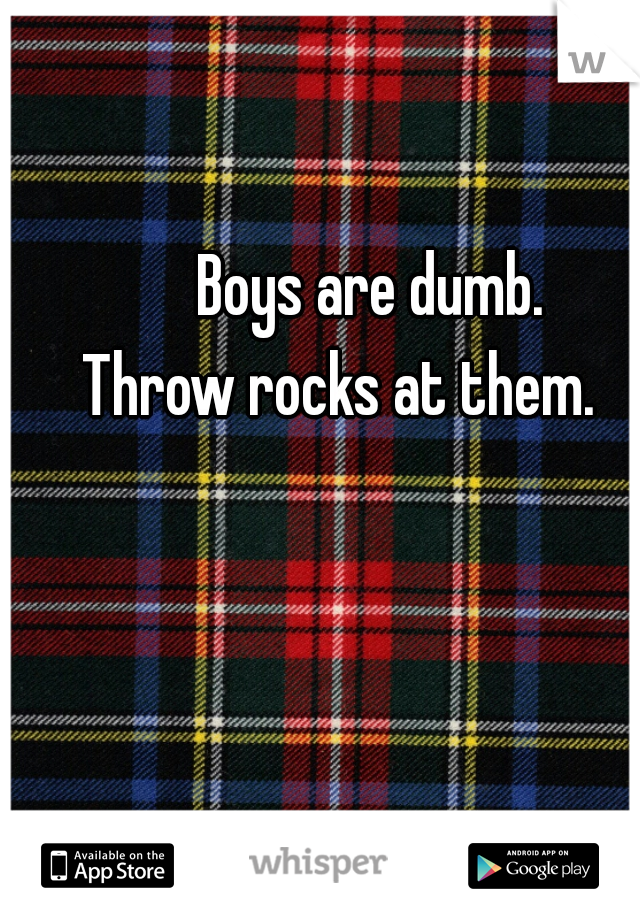      Boys are dumb. 
Throw rocks at them. 