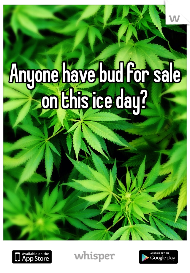 Anyone have bud for sale on this ice day?