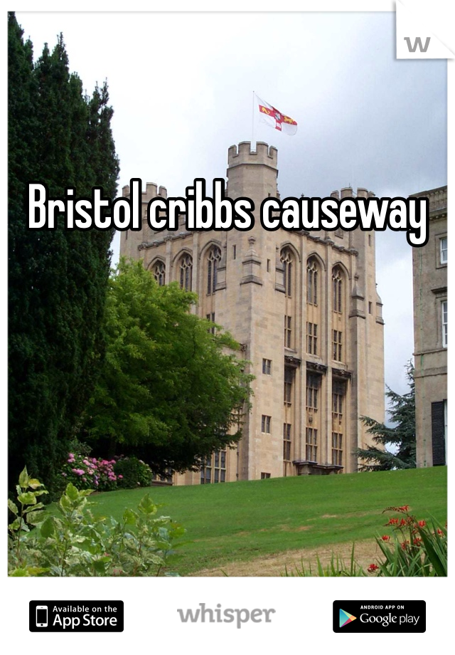 Bristol cribbs causeway 