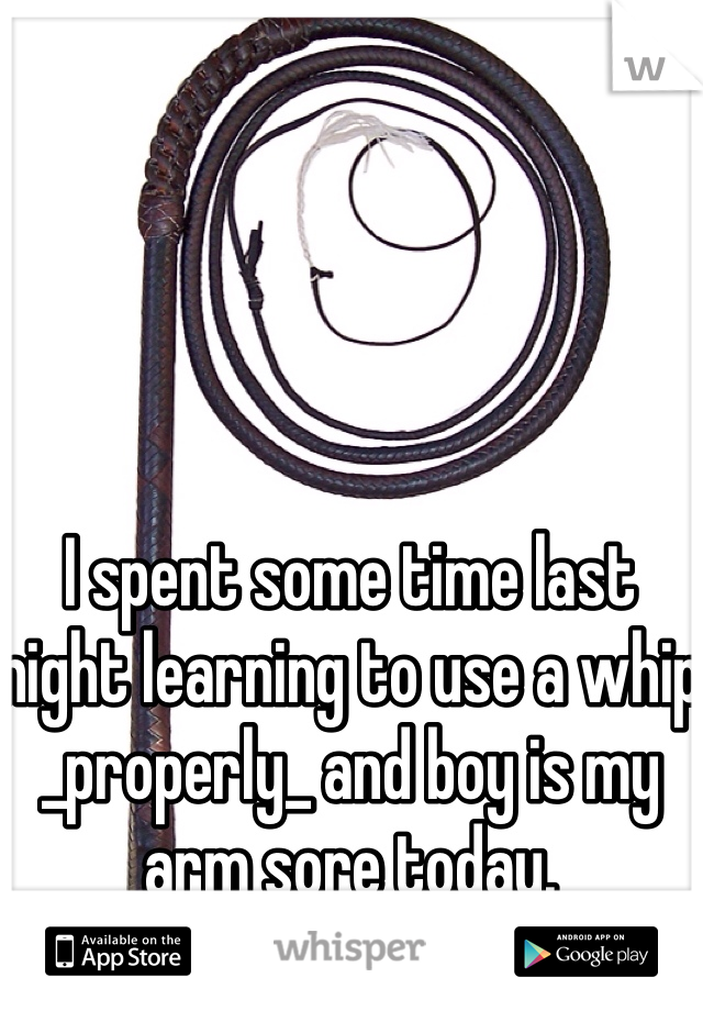 I spent some time last night learning to use a whip _properly_ and boy is my arm sore today.