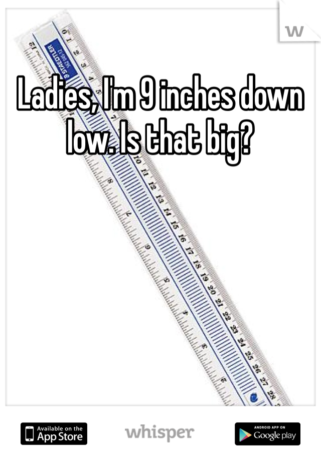 Ladies, I'm 9 inches down low. Is that big?