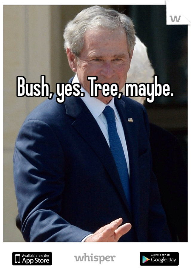 Bush, yes. Tree, maybe.