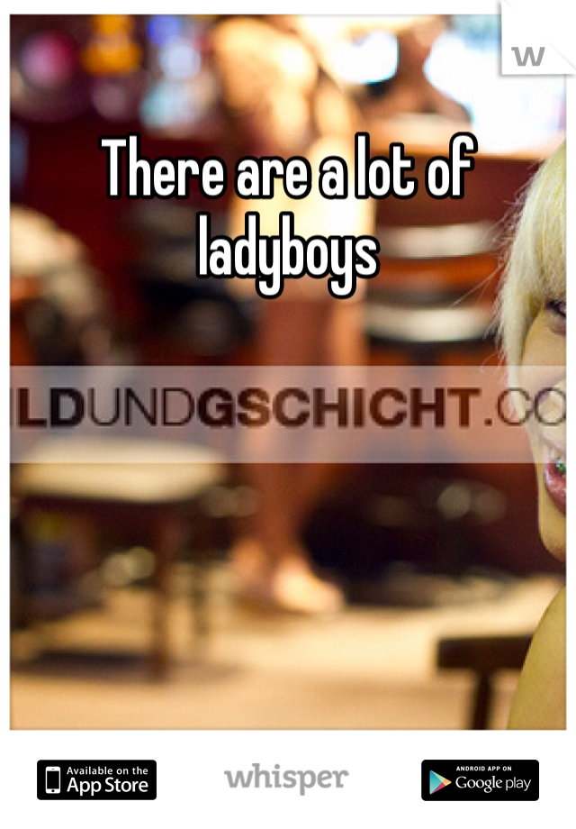 There are a lot of ladyboys