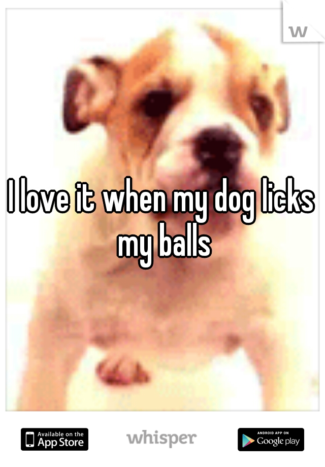 I love it when my dog licks my balls